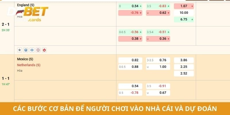 Các bước cơ bản để người chơi vào nhà cái và bắt đầu dự đoán