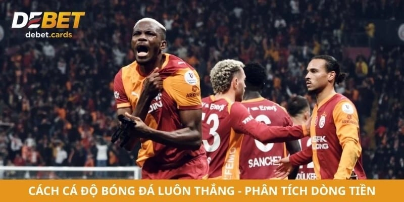 Cách Cá Độ Bóng Đá Luôn Thắng - Phân Tích Dòng Tiền