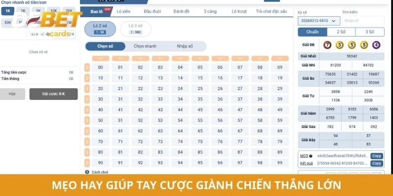Mẹo hay giúp tay cược giành chiến thắng lớn
