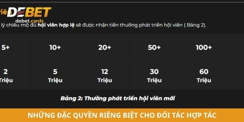 Những đặc quyền riêng biệt cho đối tác hợp tác